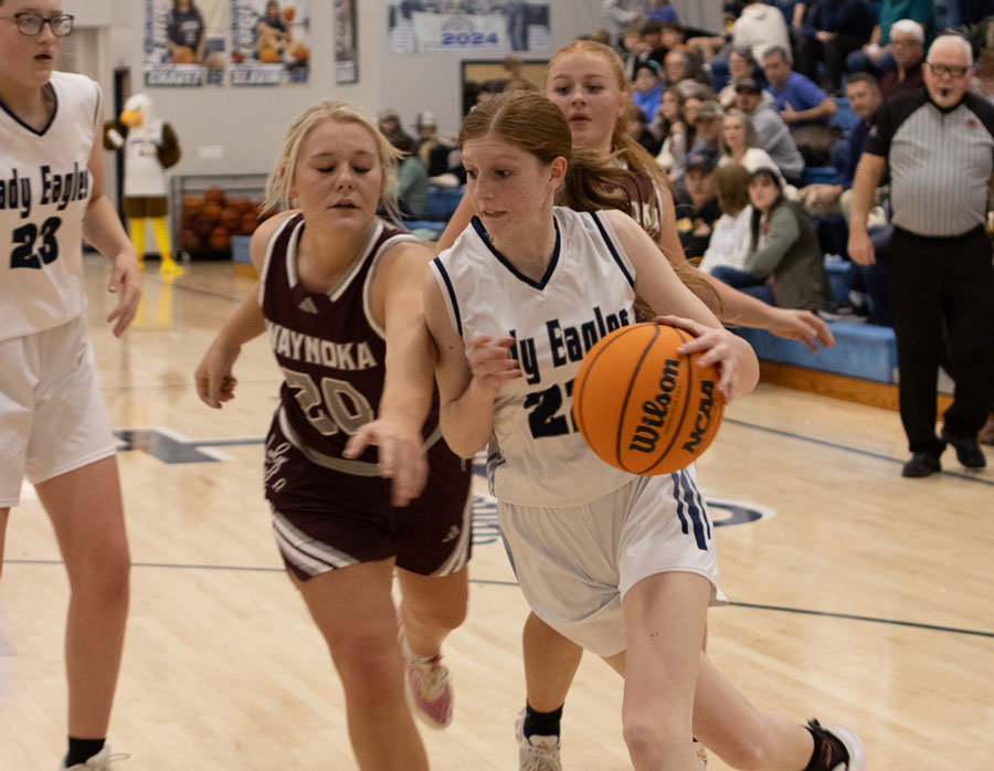 Hillsdale Christian School high school girls basketball