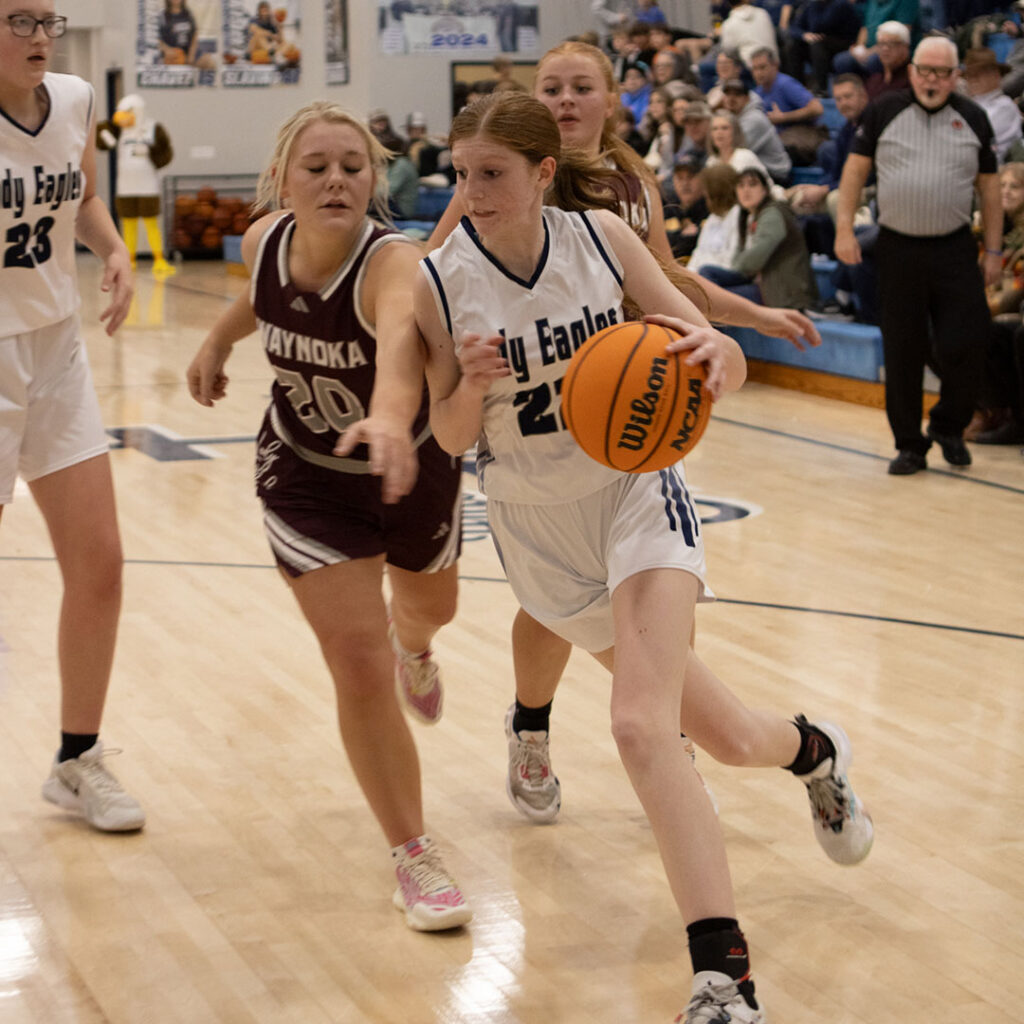 Hillsdale Christian School high school girls basketball